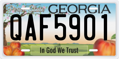 GA license plate QAF5901