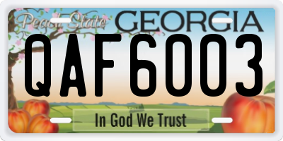 GA license plate QAF6003