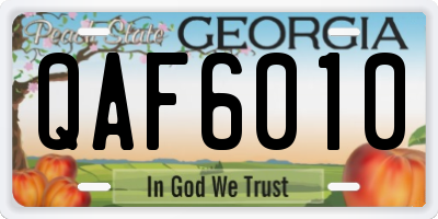 GA license plate QAF6010