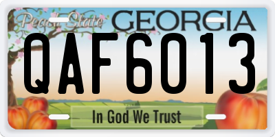 GA license plate QAF6013