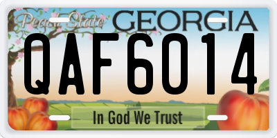 GA license plate QAF6014