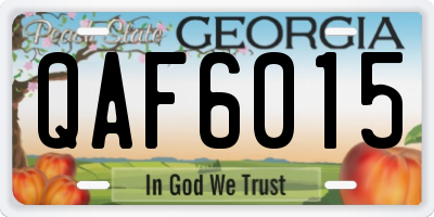 GA license plate QAF6015