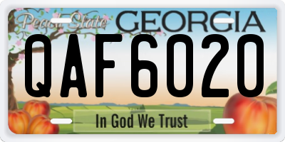 GA license plate QAF6020