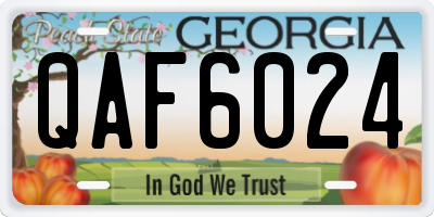 GA license plate QAF6024