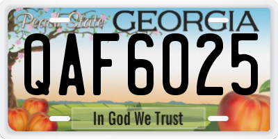 GA license plate QAF6025
