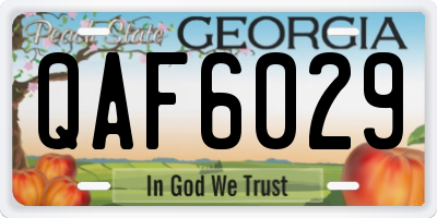 GA license plate QAF6029