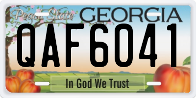 GA license plate QAF6041