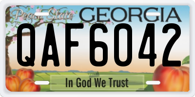 GA license plate QAF6042