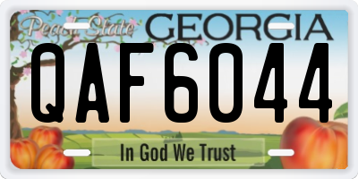 GA license plate QAF6044
