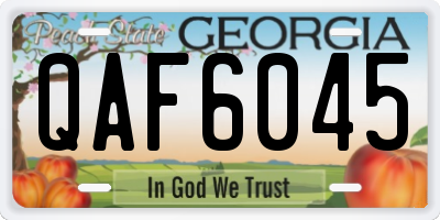 GA license plate QAF6045