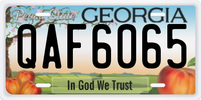 GA license plate QAF6065