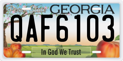 GA license plate QAF6103