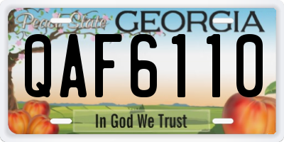 GA license plate QAF6110