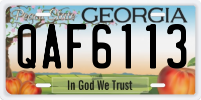 GA license plate QAF6113