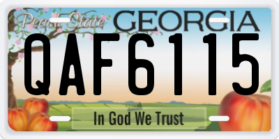 GA license plate QAF6115
