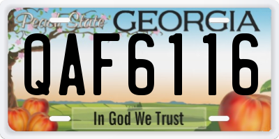 GA license plate QAF6116