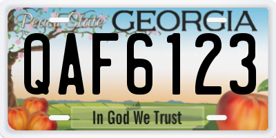 GA license plate QAF6123