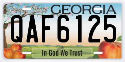 GA license plate QAF6125