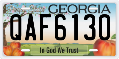 GA license plate QAF6130