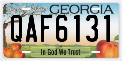 GA license plate QAF6131