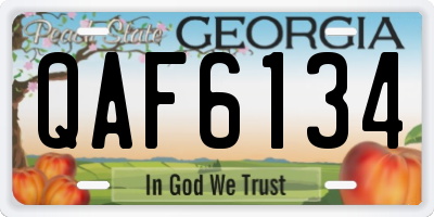 GA license plate QAF6134