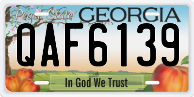 GA license plate QAF6139