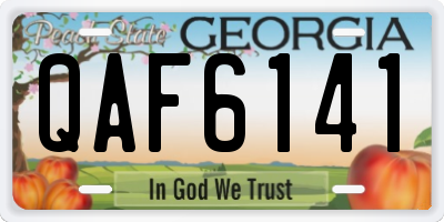 GA license plate QAF6141