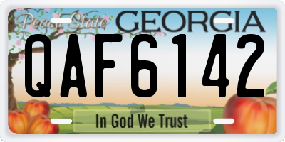 GA license plate QAF6142