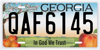GA license plate QAF6145