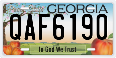 GA license plate QAF6190