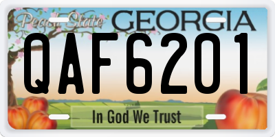 GA license plate QAF6201