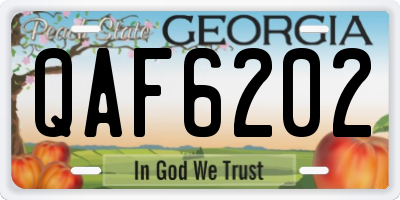 GA license plate QAF6202