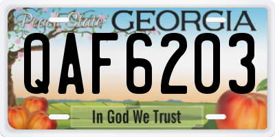 GA license plate QAF6203