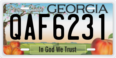 GA license plate QAF6231