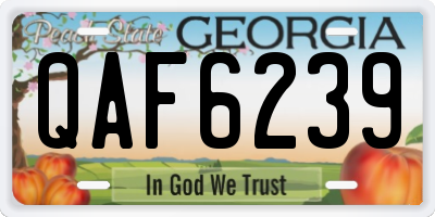 GA license plate QAF6239