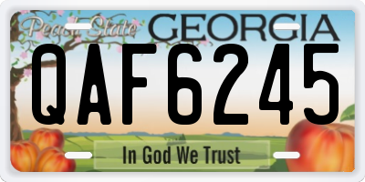 GA license plate QAF6245