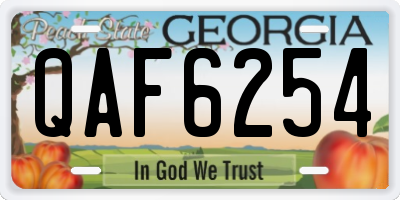 GA license plate QAF6254