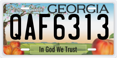 GA license plate QAF6313