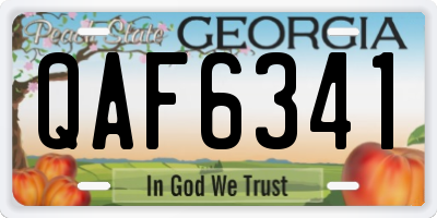 GA license plate QAF6341