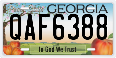 GA license plate QAF6388