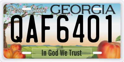 GA license plate QAF6401