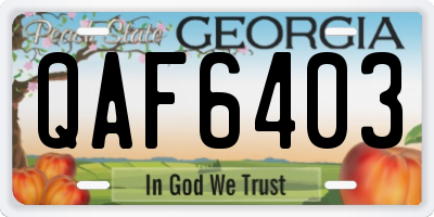 GA license plate QAF6403
