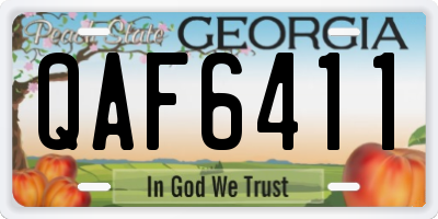 GA license plate QAF6411