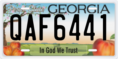 GA license plate QAF6441