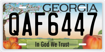 GA license plate QAF6447