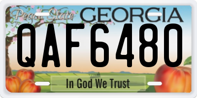 GA license plate QAF6480