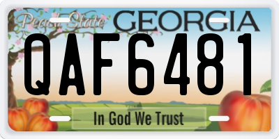GA license plate QAF6481