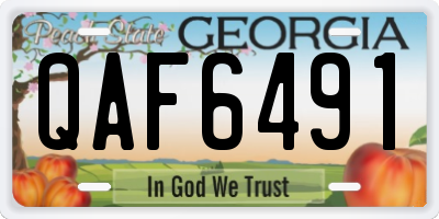 GA license plate QAF6491