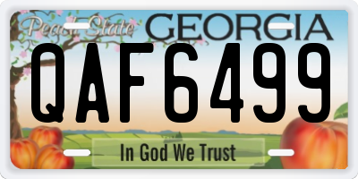 GA license plate QAF6499