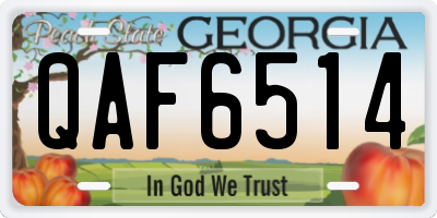 GA license plate QAF6514